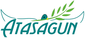 logo3