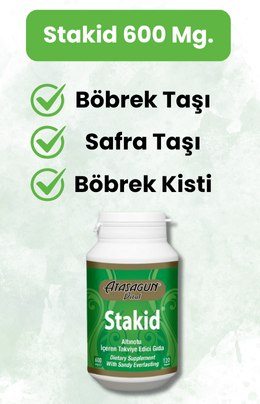 Böbrek Taşı